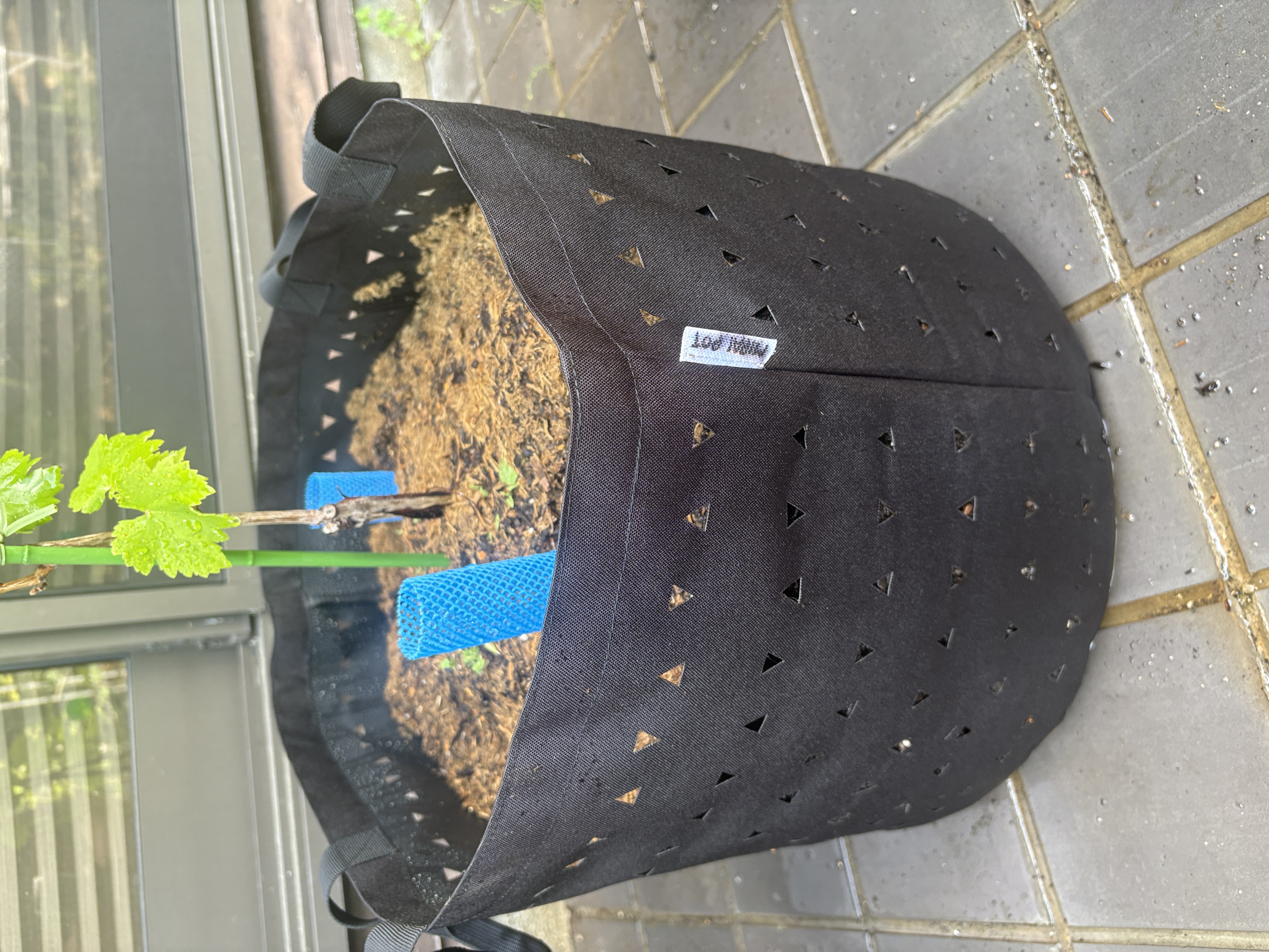 新発売】MIRAI POT OX 次世代オックスフォードポット | ユー